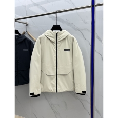 Zegna Down Jackets